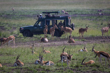 Elewana Sand River Masai Mara Hotel Maasai Mara Luaran gambar